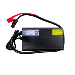 Зарядний пристрій для акумуляторів LiFePO4 12V (14,6V)-60A